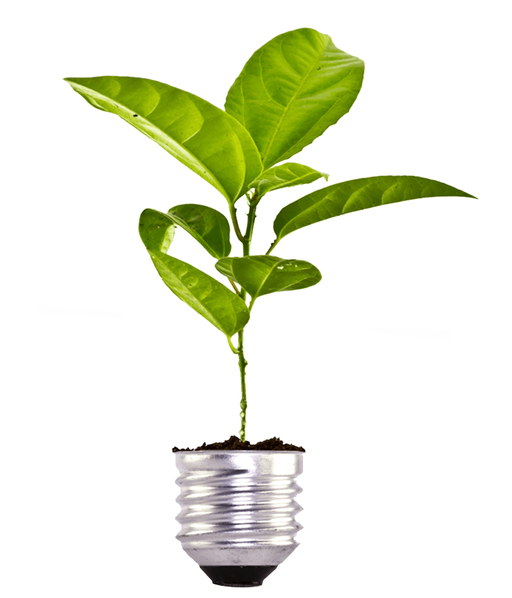 About Sunbridge Global - ERP Consulting Services